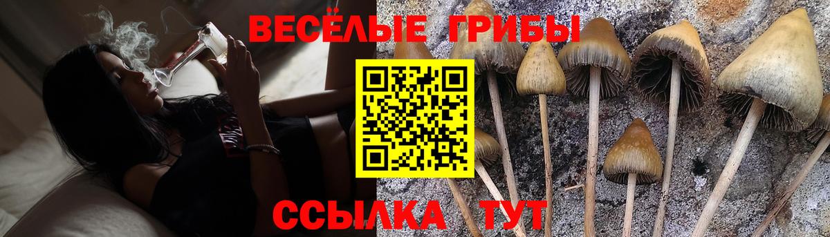 купить наркотик  Галлюциногенные грибы Psilocybine cubensis  Галлюциногенные грибы Cubensis  Вход с VPN  Кстово 